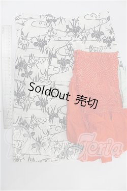 画像2: SD/OF:衣装セット S-26-07-05-221-TO-ZS