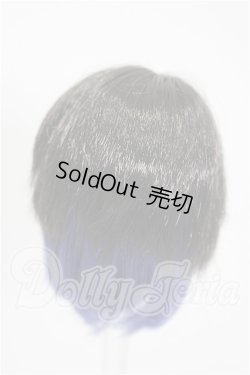画像2: 4.5inch/ウィッグ S-26-05-31-326-TO-ZS