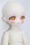 画像3: TinyFox/ミス・オイスター ウェステ1/6 S-26-06-07-103-TO-ZS (3)