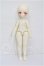 画像4: TinyFox/ミス・オイスター ウェステ1/6 S-26-06-07-103-TO-ZS (4)