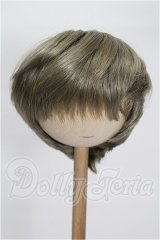 8-9inch/ウィッグ S-26-06-21-224-TO-ZS