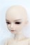 画像2: Myoudoll/Zimo S-26-06-14-101-TO-ZS (2)