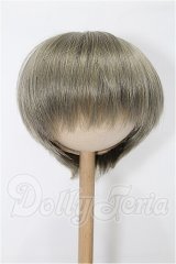 9-10inch/ウィッグ S-26-09-27-128-YB-ZS