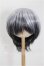 画像1: 8.5-9inch/ウィッグ S-26-06-28-231-YB-ZS (1)