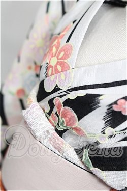 画像4: SD/OF:衣装セット S-26-06-14-188-TO-ZS