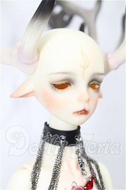 画像2: DOLL CHATEAU/Noah-2 S-26-06-07-332-TO-ZS