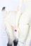 画像8: DOLL CHATEAU/Noah-2 S-26-06-07-332-TO-ZS (8)