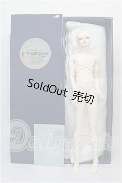画像6: LUTS/Senior Delf:SDF-15-06ヘッド&男性ボディ S-26-06-14-152-YB-ZS