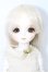 画像1: ROSENLIED/Tuesdays Child Basic Charlotte S-26-06-07-331-YB-ZS (1)