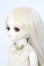 画像3: ROSENLIED/Tuesdays Child Basic Charlotte S-26-06-07-331-YB-ZS (3)