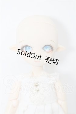 画像6: PARABOX/プチフェアリー(PB11-02ヘッド+オビツ11ボディ) S-26-06-14-254-YB-ZS