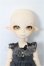 画像6: PARABOX/プチフェアリー(PB11-02ヘッド+オビツ11ボディ) S-26-06-14-255-YB-ZS (6)