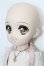 画像3: MDD/DDH-04ヘッド+MDDボディ S-26-06-14-306-TO-ZS (3)