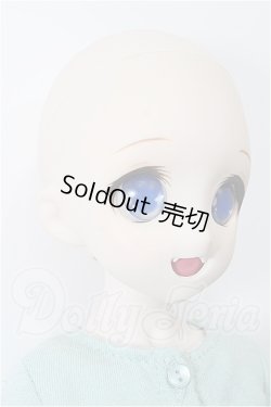 画像2: MDD/DDH-04ヘッド+MDDボディ S-26-06-14-305-TO-ZS