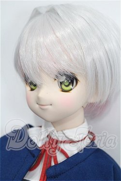 画像2: DDS/DDH-04ヘッド＋ボディ S-26-06-21-204-TO-ZS