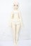 画像2: MYOUDOLL/1/4/Delia S-26-06-21-152-TO-ZS (2)