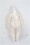 画像3: YｍY/Big fat pear body S-26-06-14-157-YB-ZS (3)