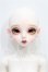 画像1: peakswoods/FOB nana S-26-06-21-105-TO-ZS (1)