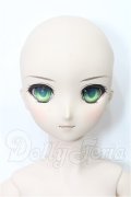 DD/セイバー Fate/EXTRA Ver. S-26-06-21-101-TO-ZS