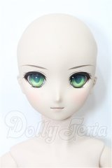 DD/セイバー Fate/EXTRA Ver. S-26-06-21-101-TO-ZS