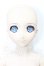 画像1: ＤＤ/ネリス S-26-06-21-103-TO-ZS (1)