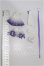 画像2: COME4FREE/OF Minty衣装 S-26-06-21-262-TO-ZS (2)