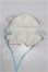 画像1: ANTU/OF:衣装 S-26-06-21-271-TO-ZS (1)