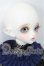 画像2: 【DOLK×Peak’s Woods】/Vampire Lady Bee - Claudia 2022 ver. Limited - Special Reissue S-26-06-21-202-YB-ZS (2)