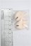 画像2: PUYOO DOLL/KUMAKO HANDS Hand Parta Human Hand S-26-06-28-114-TO-ZS (2)