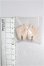 画像2: PUYOO DOLL/KUMAKO HANDS Hand Parta Human Hand S-26-06-28-112-TO-ZS (2)