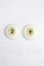 画像1: 22mm/レジンアイ S-26-07-12-276-TO-ZS (1)