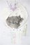 画像1: MDD/OF Snow White(ORIONE DOLL様製) S-26-07-05-116-TO-ZS (1)