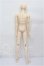 画像5: Dollmore/Model Doll M Uri Rich S-26-07-05-301-TO-ZS (5)