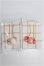 画像1: MDD/OF:小物 S-26-07-05-343-TO-ZS (1)