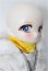 画像3: TinyFox/付き人のアザラシ ノーミ S-26-07-05-103-TO-ZS (3)