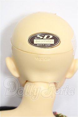 画像5: SD13男の子/ワンオフモデル 教室Aヘッド S-26-07-05-307-YB-ZS
