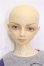 画像2: SD13BOY/クリス S-26-07-12-107-YB-ZS (2)