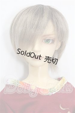 画像1: SD13男の子/トニー S-26-07-12-105-YB-ZS