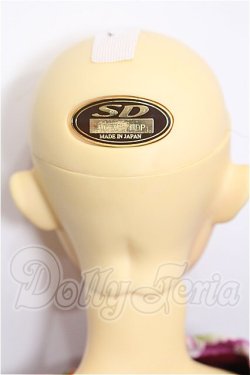 画像5: SD13男の子/トニー S-26-07-12-105-YB-ZS