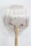 画像1: 9-10inch/ウィッグ S-26-07-12-338-YB-ZS (1)