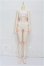 画像1: XAGA DOLL/1/4 43cm Girl Body(X-F-43C) S-26-07-12-202-TO-ZS (1)