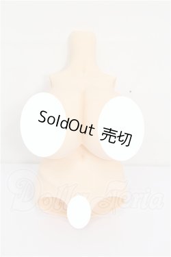 画像1: MDD/上胴・下胴パーツ S-26-07-12-113-YB-ZS