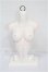 画像1: LITTLE MONICA/Harmony Girl Torso S-26-07-19-120-TO-ZS (1)