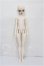 画像4: Fatemoons/Wen Xinmei S-26-07-26-107-TO-ZS (4)