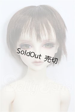 画像1: SD/フルチョイスF-75 S-26-07-26-102-TO-ZS