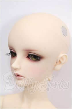画像3: SD/フルチョイスF-75 S-26-07-26-102-TO-ZS