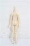 画像2: azone/1/12ピコニーモボディ S-26-07-26-206-TO-ZS (2)