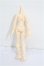 画像2: azone/ピコニーモDボディ S-26-07-26-207-TO-ZS (2)