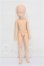 画像1: azone/ピュアニーモフレクションXS男の子ボディ S-26-07-26-205-TO-ZS (1)