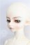 画像2: LUTS/KDF Bory Unicorn Human Ver-Moonlit song Limited S-26-07-26-254-TO-ZS (2)